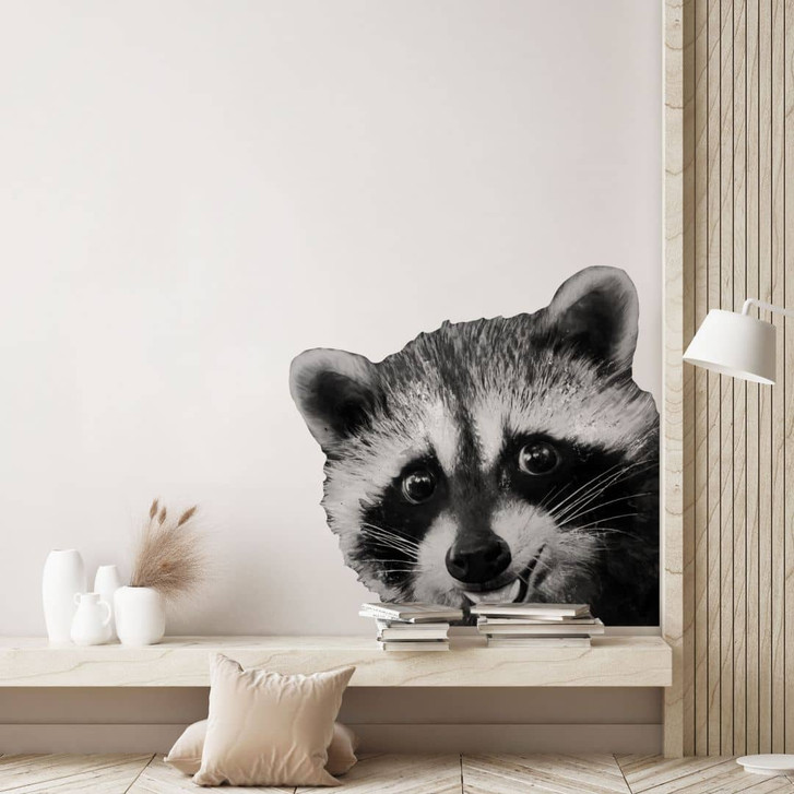 Wandtattoo Racoon - Graves - WA449863