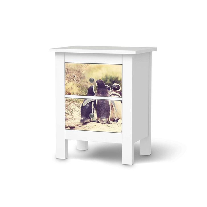 Möbelfolie IKEA Hemnes Kommode 2 Schubladen - Pingu Friendship - CR118211
