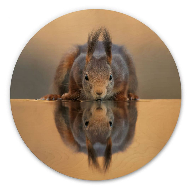 Holzbild Eichhörnchen am Wasser - van Duijn - Rund - WA472028