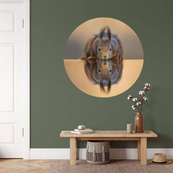 Wandtattoo Eichhörnchen am Wasser - van Duijn - Rund - WA474613