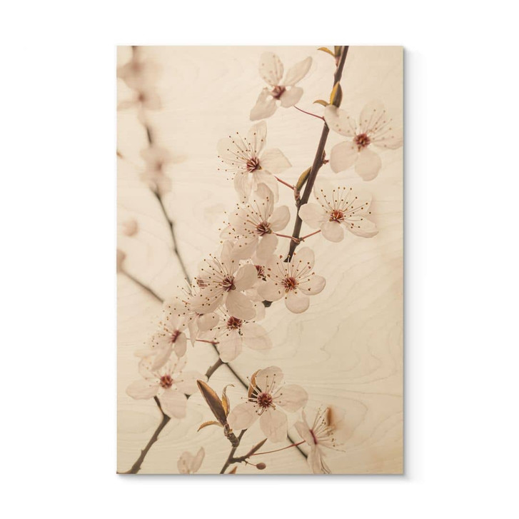 Holzbild Zweig mit weissen Kirschblüten - Sisi & Seb - WA472129