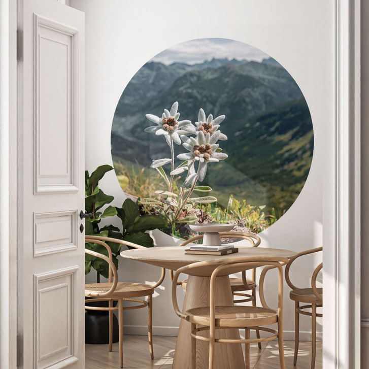 Wandtattoo Weisser Alpen-Edelweiss auf dem Berg - Rund - WA430077