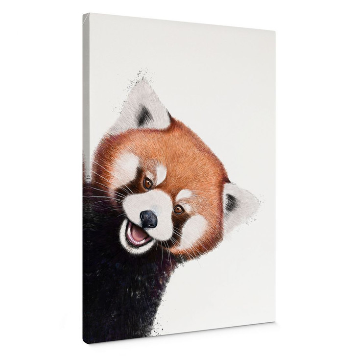 Leinwandbild Roter Panda - Korenkova - WA434536
