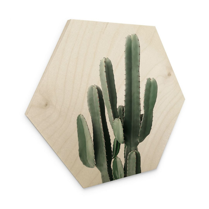 Hexagon-Holzbild Kaktus Pflanze - Sisi & Seb - WA425474