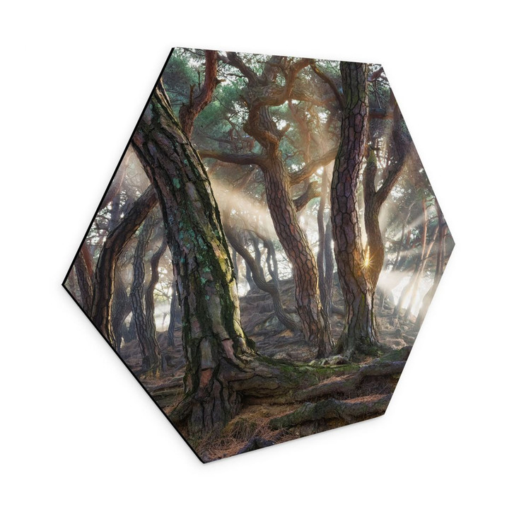 Hexagon Wandbild Heiliger Kiefernwald - Ryu - Alu-Dibond - WA431274