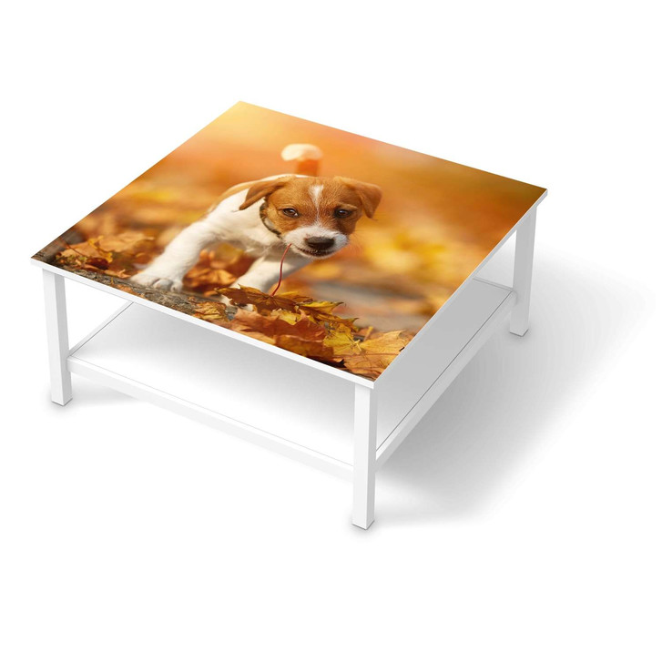 Klebefolie IKEA Hemnes Tisch 90x90cm - Jack the Puppy - CR109514