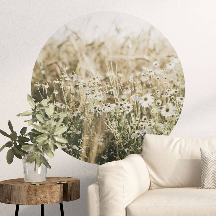 Wandtattoo Sommerwiese mit Kamille - Annie - Rund - WA474505