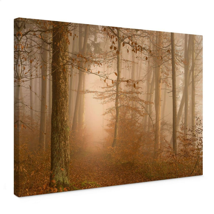 Leinwandbild Dunst und Licht im herbstlichen Wald - Maier - WA449898